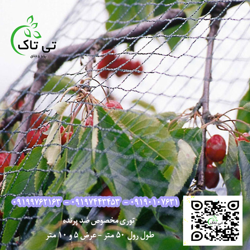 توری شید ضدپرنده