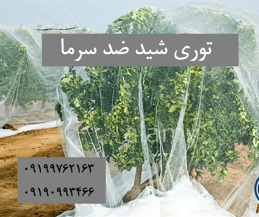 توری شید ضد سرما