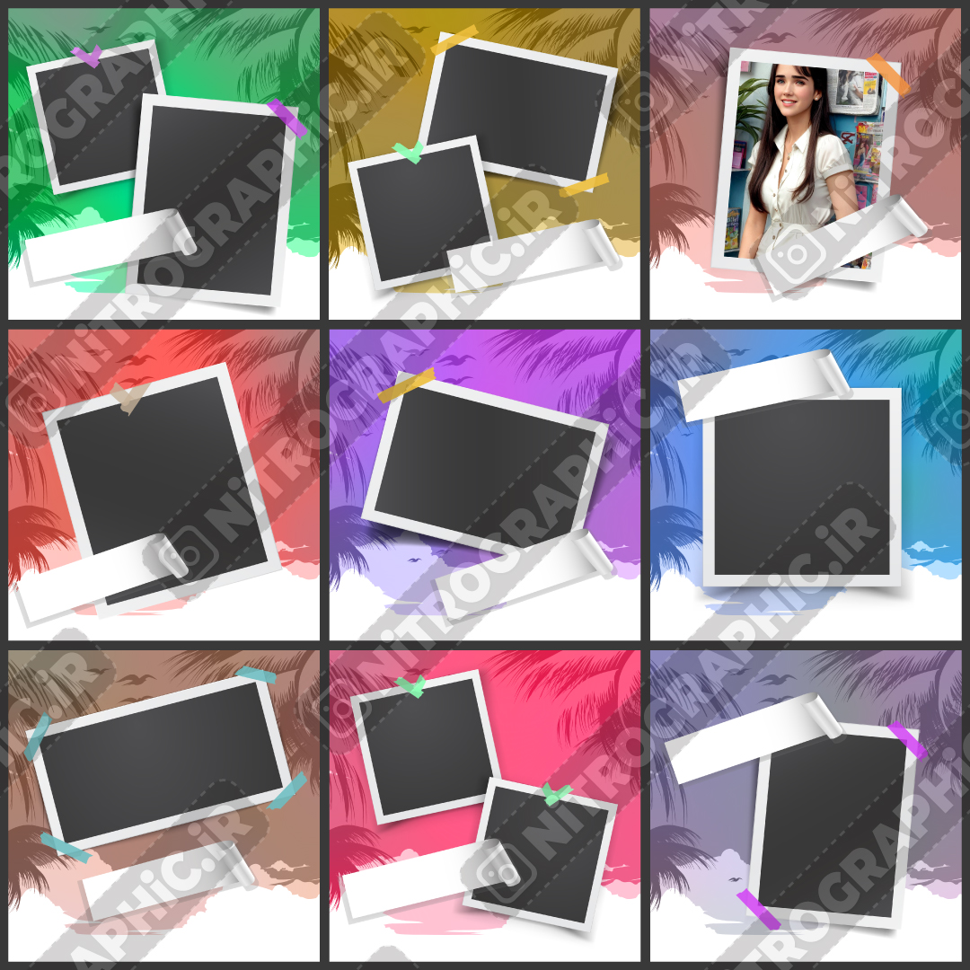 عکس ساحل دریا عکسهای درخت نخل مرغ دریایی بکگراند پسزمینه تابستون