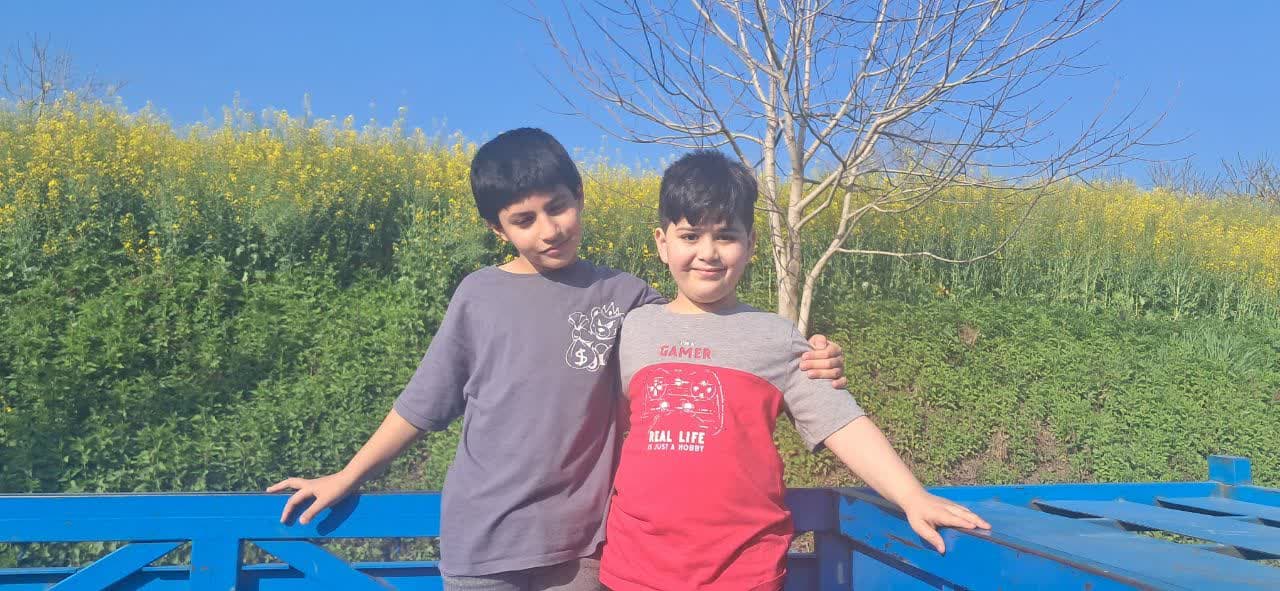 عکس‌ دامنه داراب‌کلا