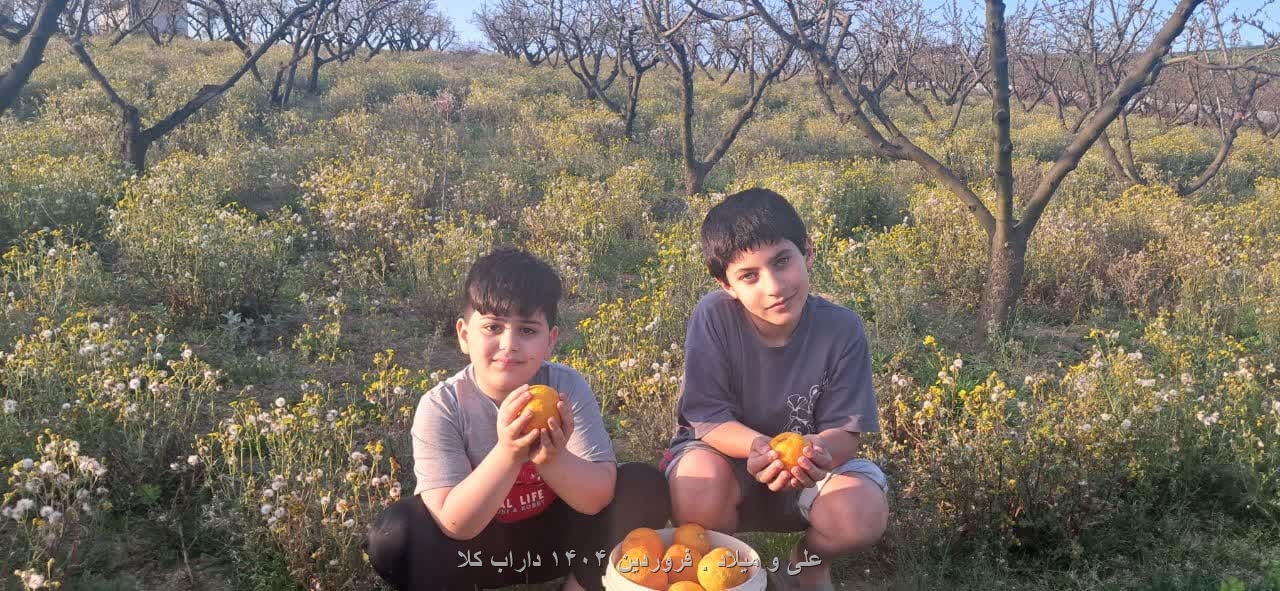 عکس‌ دامنه داراب‌کلا
