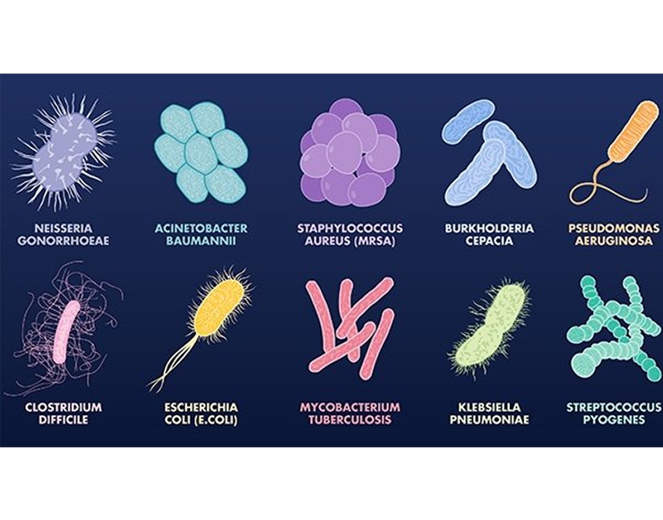 باکتری آکواریوم aquarium bacteria