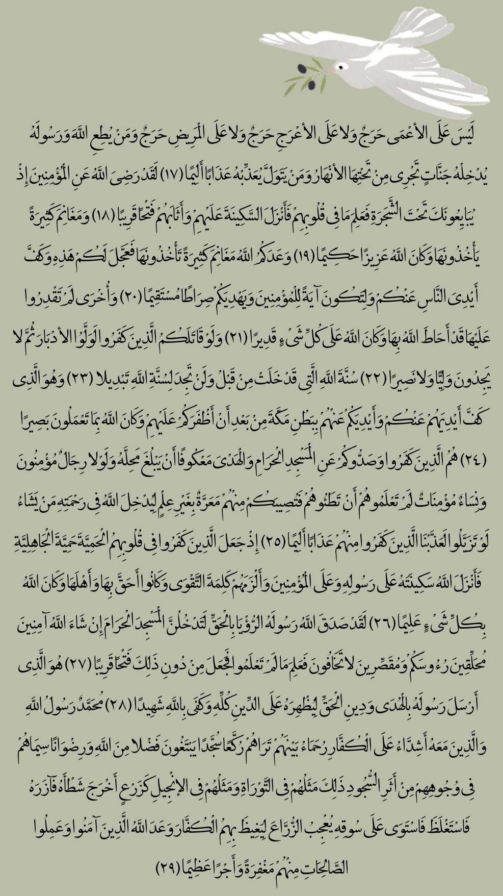 سوره فتح_ادامه آیات 