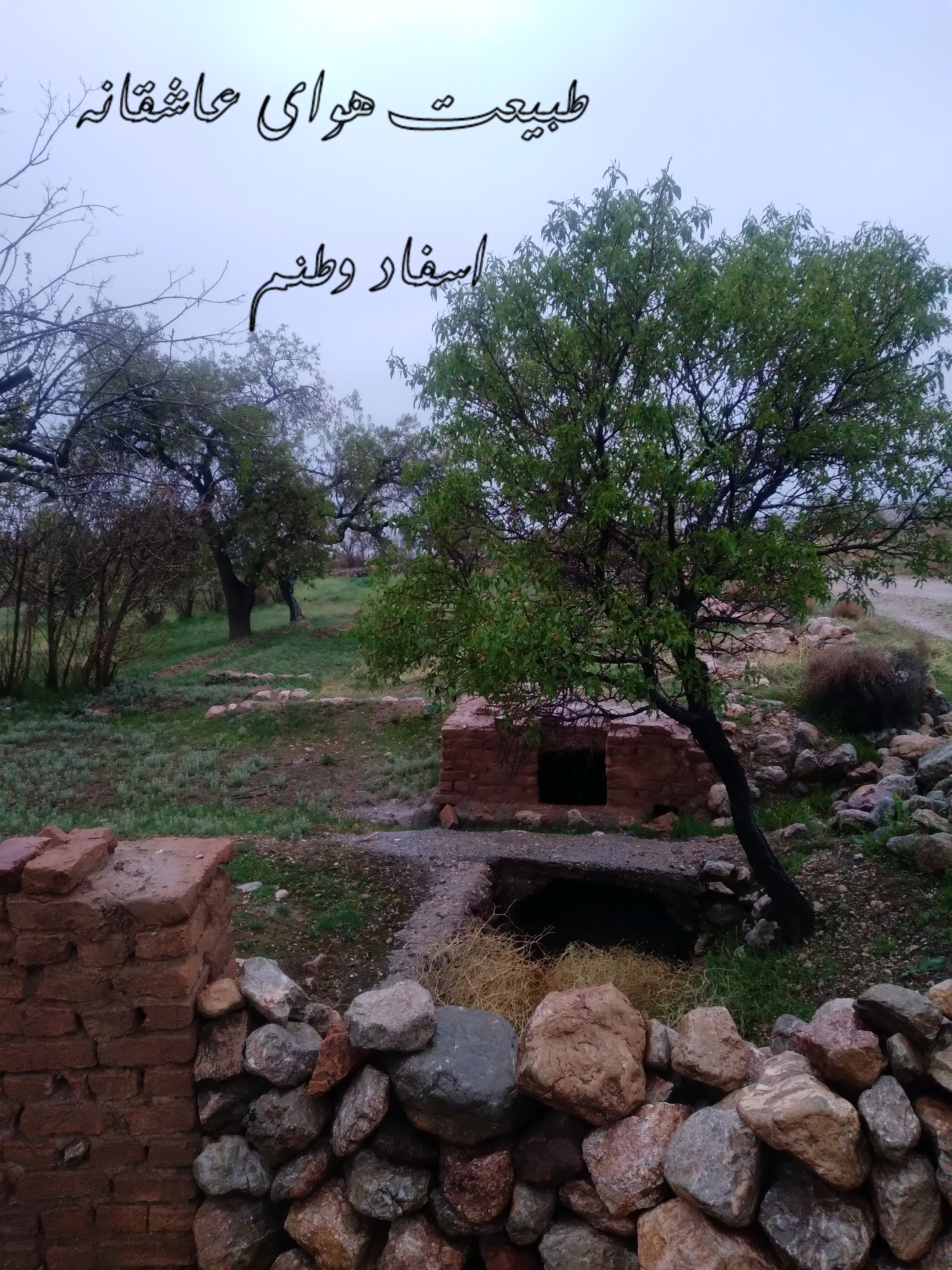 اسفاد وطنم