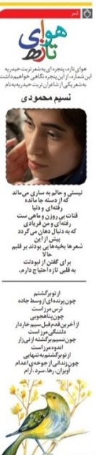 نسیم محمودی