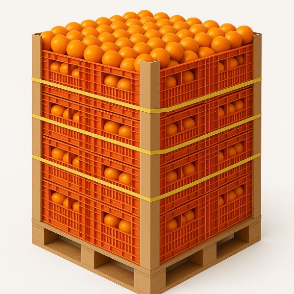  نبشی مقوایی در بسته بندی میوه 