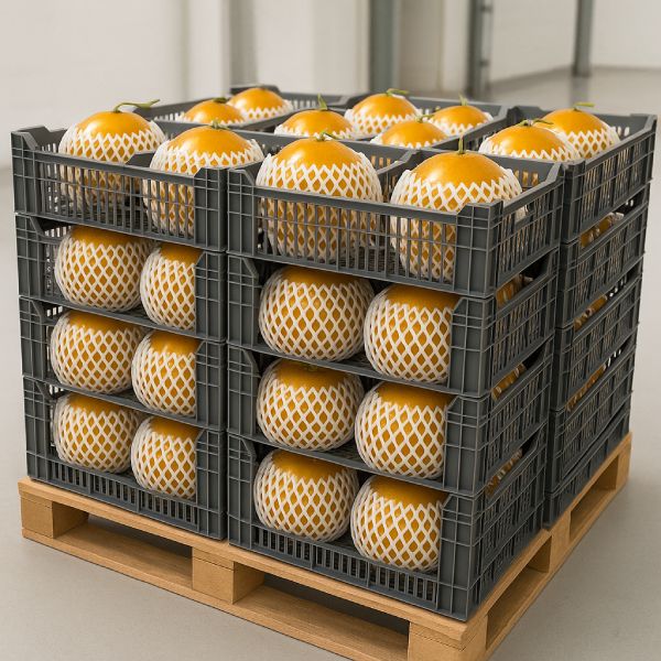  فوم توری میوه فوم خربزه