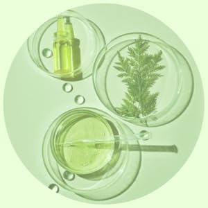 تصویر هویج برای کلاژن هویج