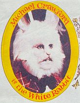 خرگوش سفید